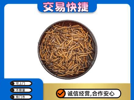 遵义市务川礼品回收虫草.jpg